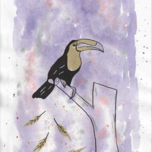 Aquarelle original de l’Oracle des Dévas animaliers : Le toucan