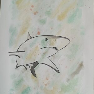 Aquarelle esprit animal du requin