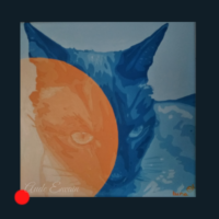 Cocréation avec la communication animal O² artiste messager