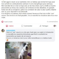 Peinture cocréer en communication animal O² artiste messager