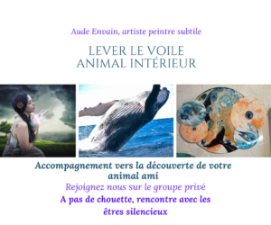 Animal intérieur accompagnement vers la découverte d'un animal ami