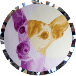 Commande cocrée en communication animal œuvre vibratoire