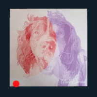 Joy, a partager les émotions et les sentiments qui l'unissent à son humaine, et me les as transmise sous forme de couleurs Présentation d'un portrait en communication animal